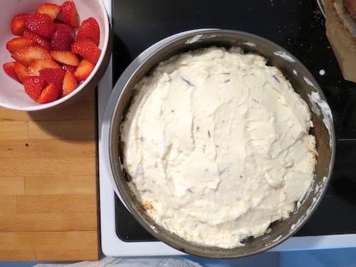 Erdbeer-Stracciatella Torte
