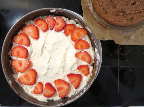 Erdbeer-Stracciatella Torte