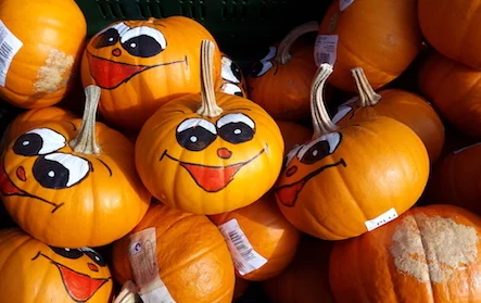 20161022_133014k Kürbissuppe mit Kokos3