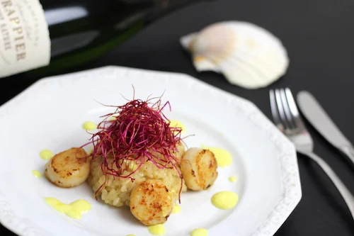 Jakobsmuscheln auf Champagner-Risotto